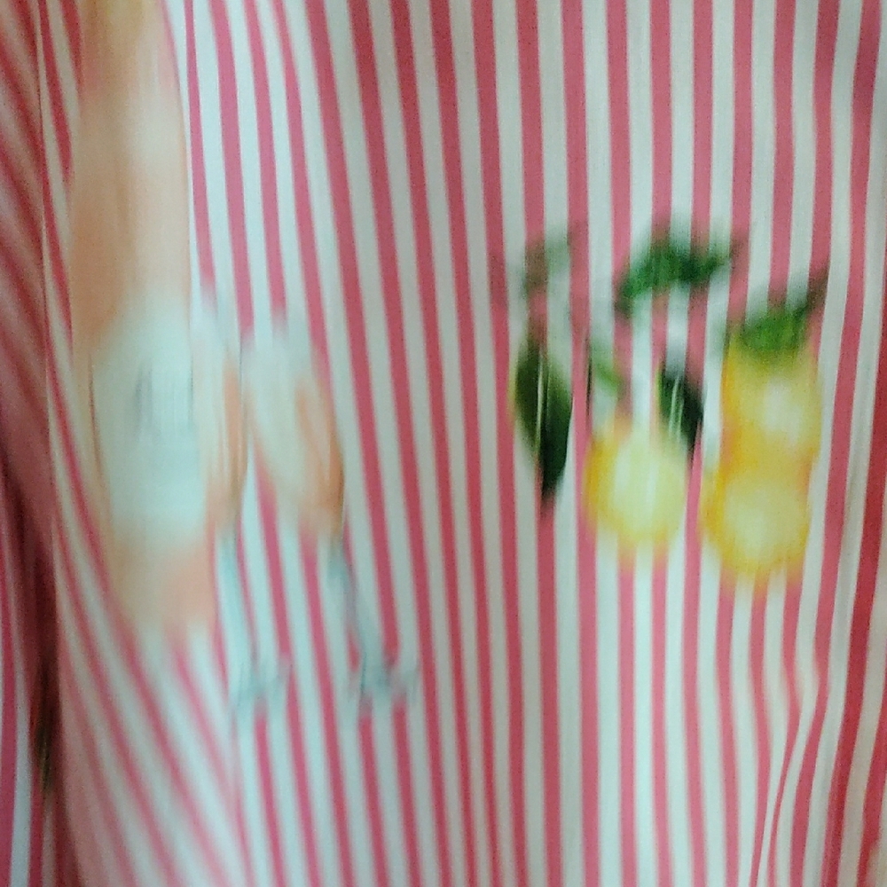 Striped Button Down Shirt with Food & Drink  Fun Design. NWT - Picture 6 of 15